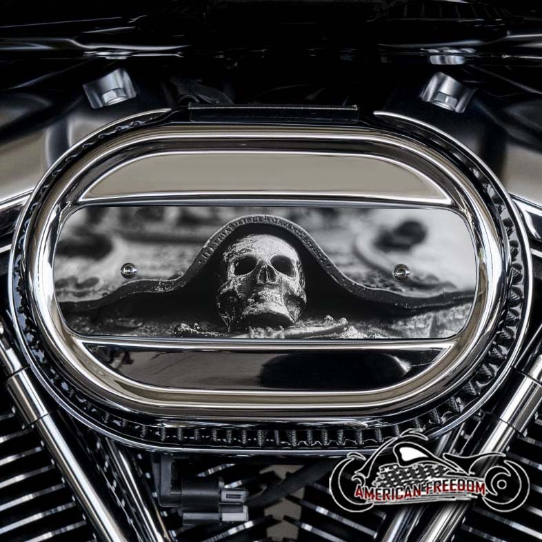Harley Davidson M8 Ventilator Insert - B&W Skull